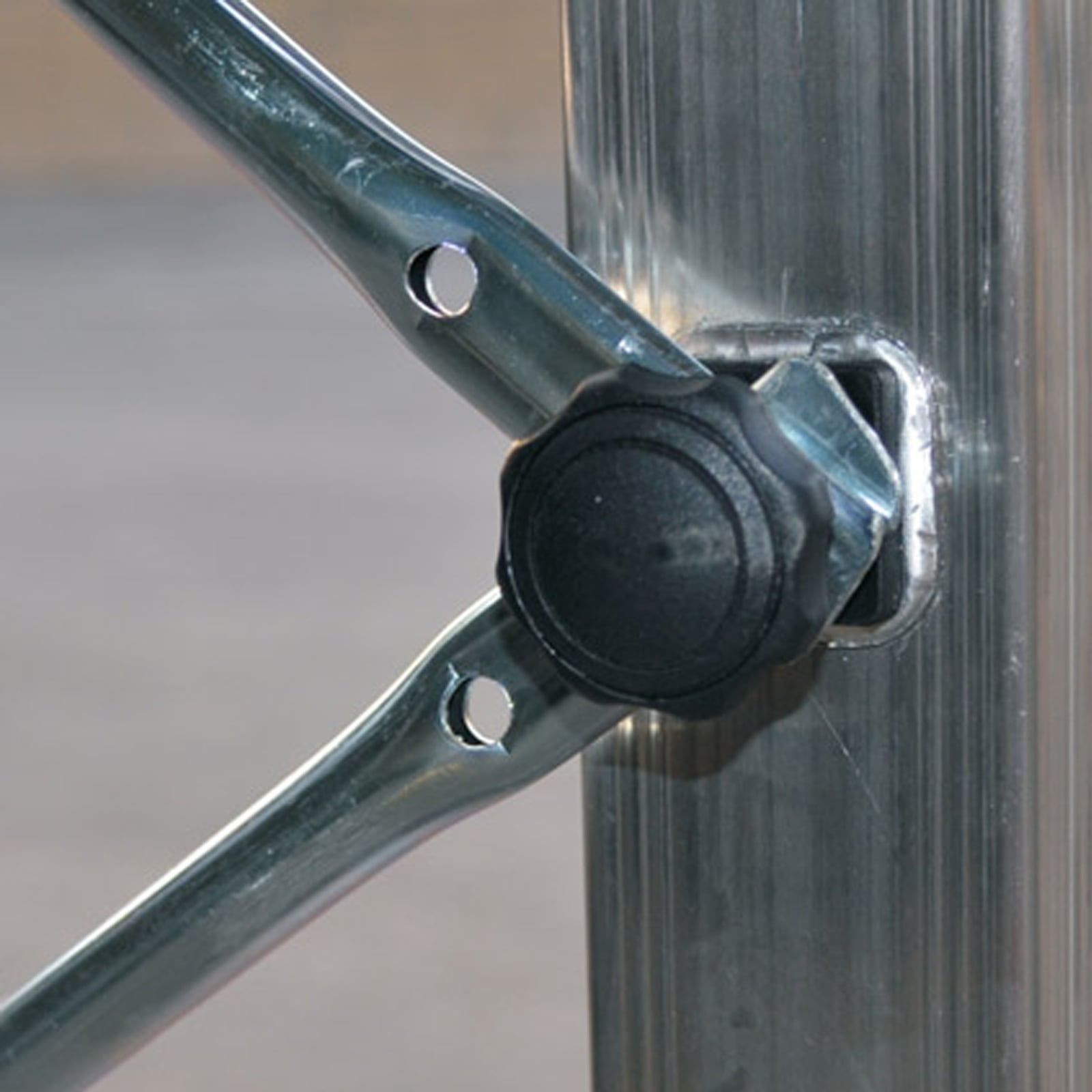 Trabattello Zeus particolare 1