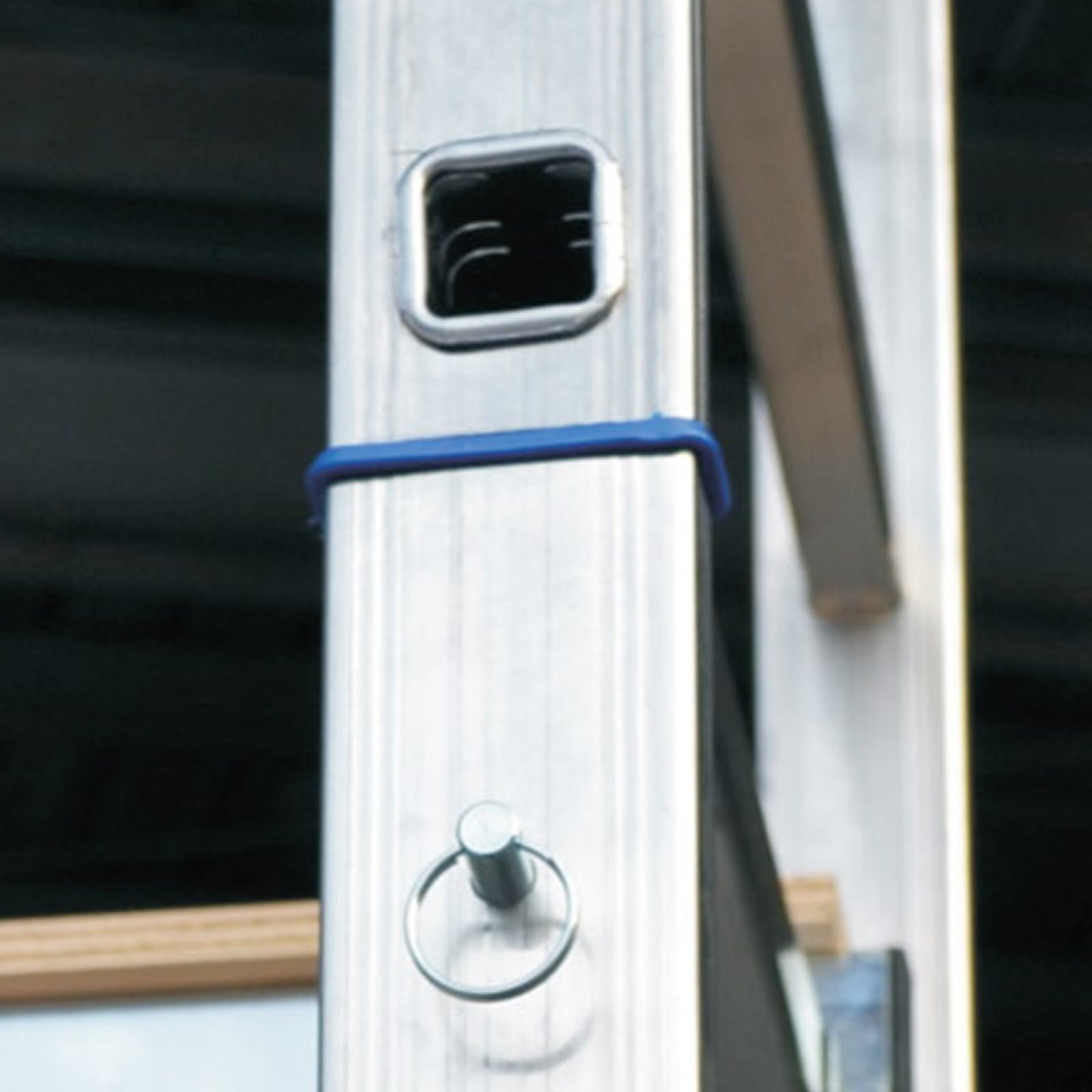 Trabattello Zeus particolare 2