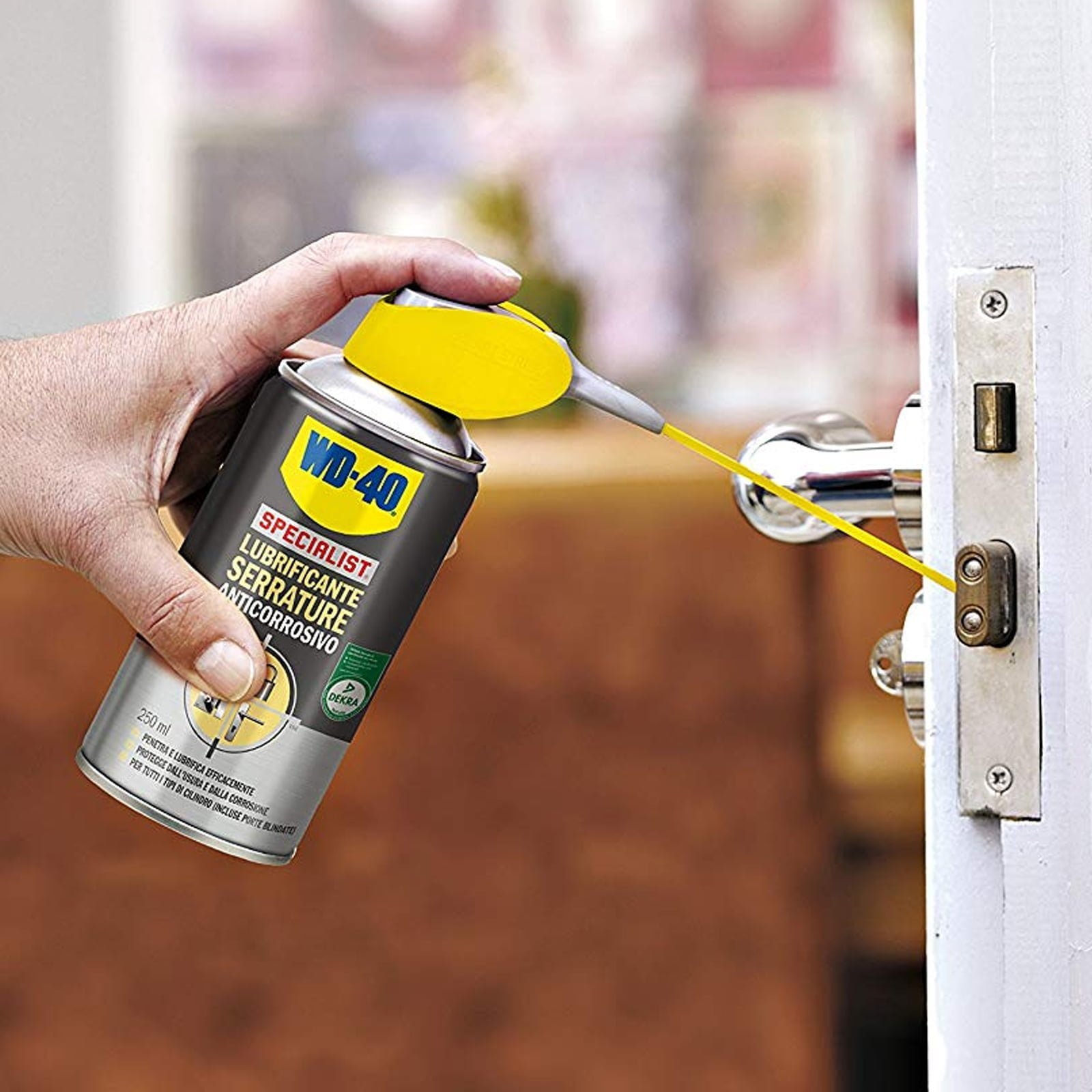 WD-40-Specialist-Lubrificante-Serrature-Anticorrosivo-1