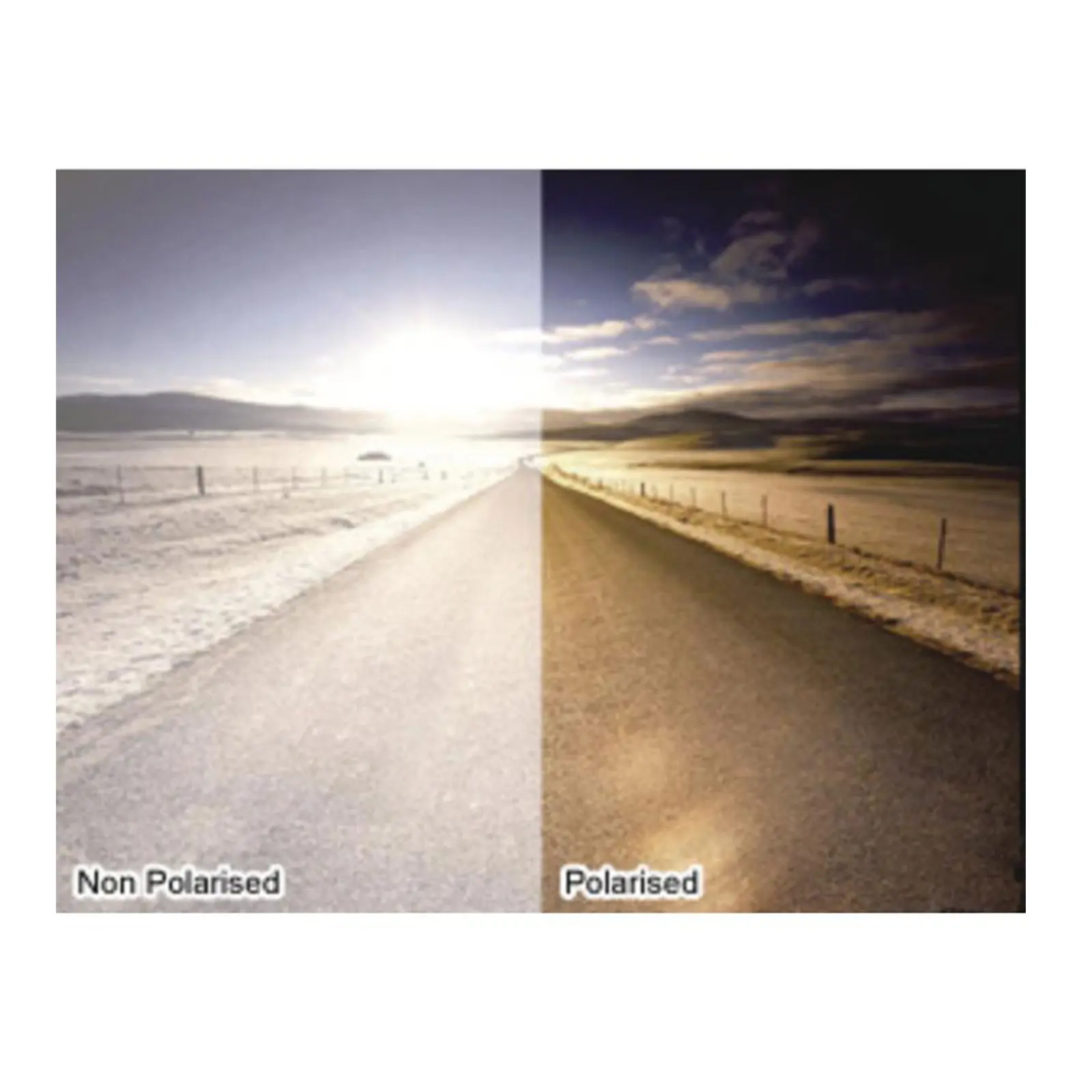 Rimfire-polarizzazione