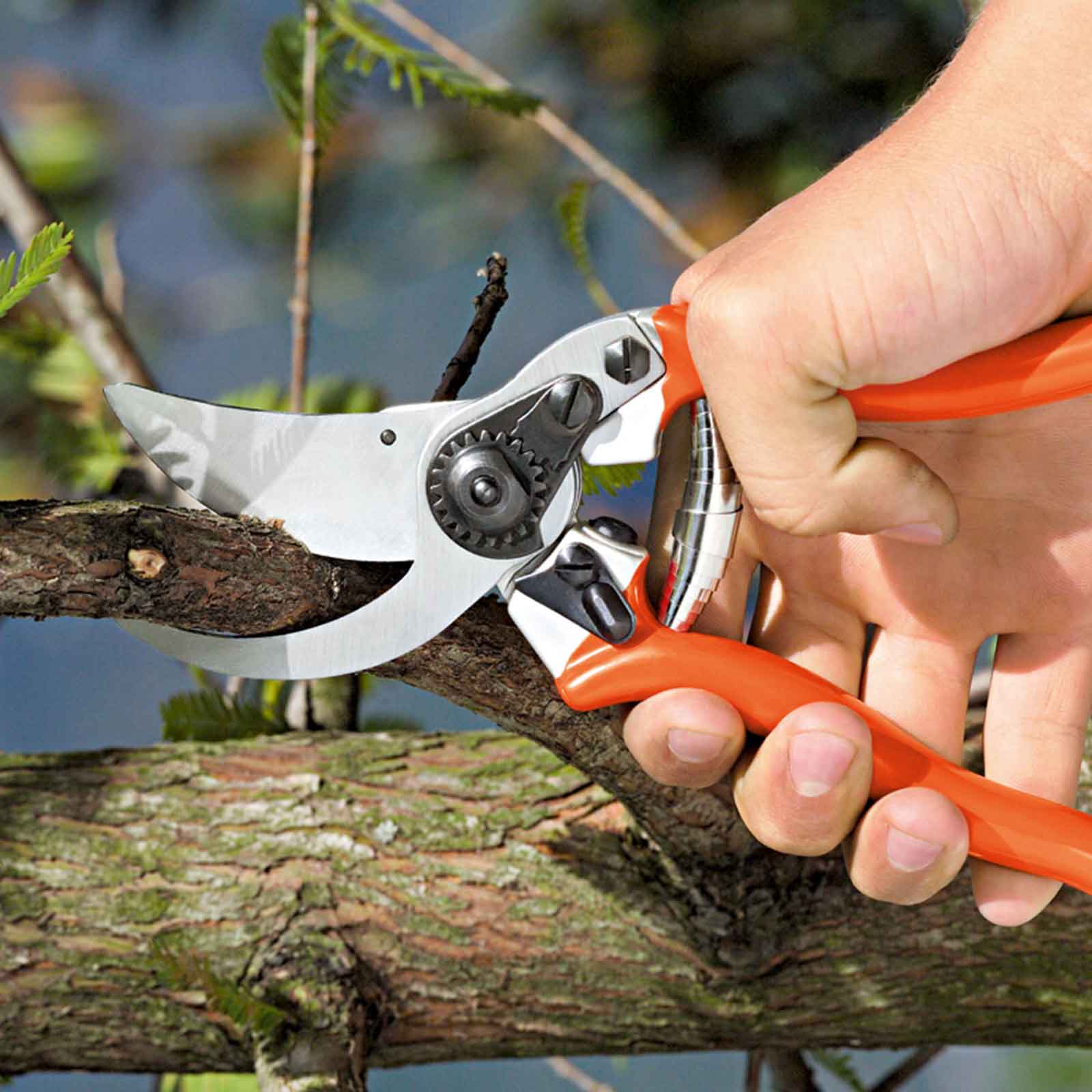 Forbice-taglio-passante-Profi-Bypass-20-Stocker-per-mani-piccole-potatura Forbice taglio passante Profi Bypass 20 Stocker per mani piccole