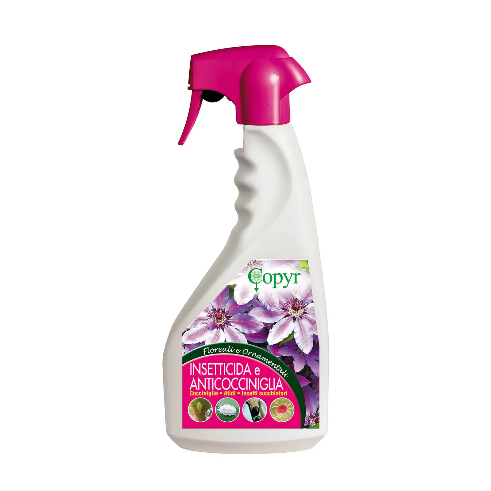 COPYR-ANTICOCCINIGLIA
